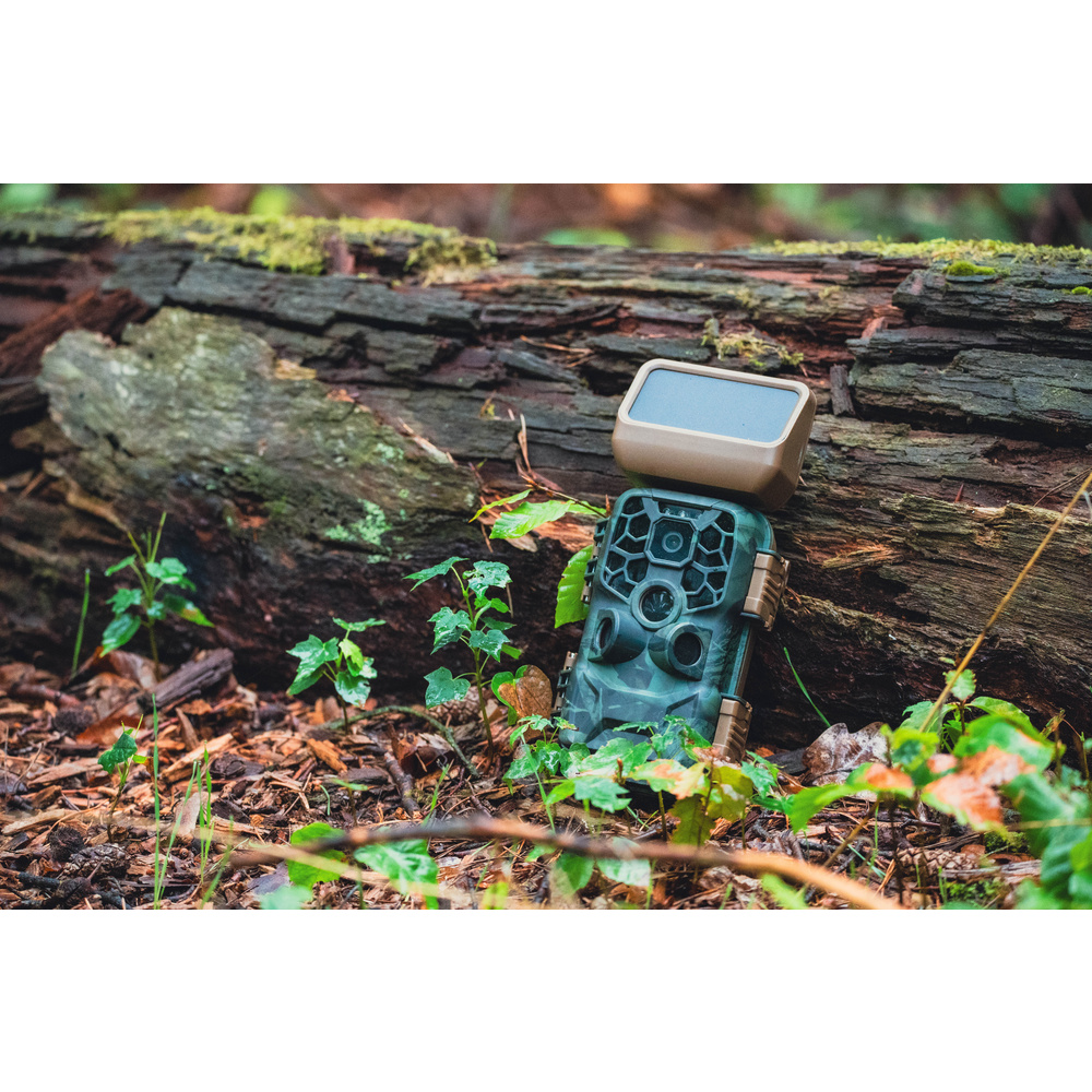 Braun Fotofalle / Wildkamera Scouting Cam BLACK400 WiFi SOLAR, 24 MP, IP56, Auslösezeit 0,4s