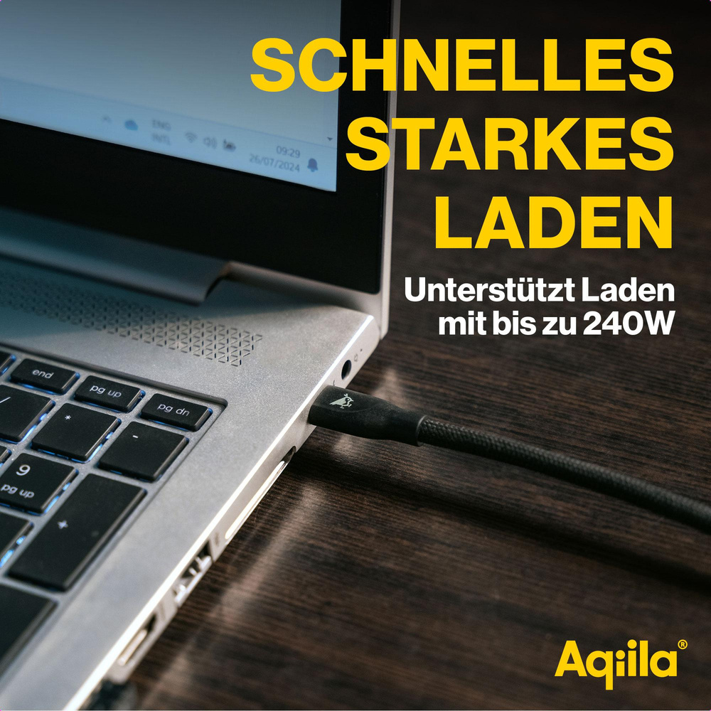 Aqiila Cablebird CB12 Sync-/ Ladekabel, 240W, Type-C auf Type-C, 2 m, Schwarz