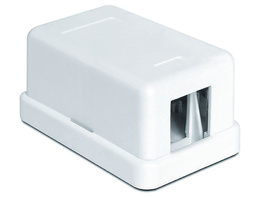 Delock Keystone Leergehäuse, 1 Port