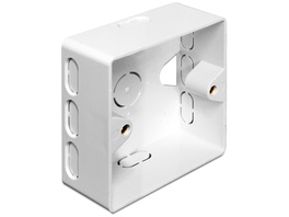 Delock Keystone Aufputzgehäuse